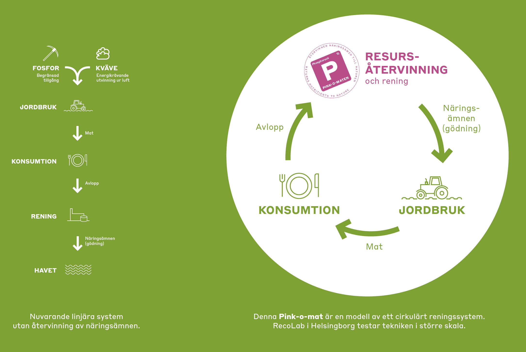 Linjärt vs. cirkulärt system. Illustration: Reco Lab