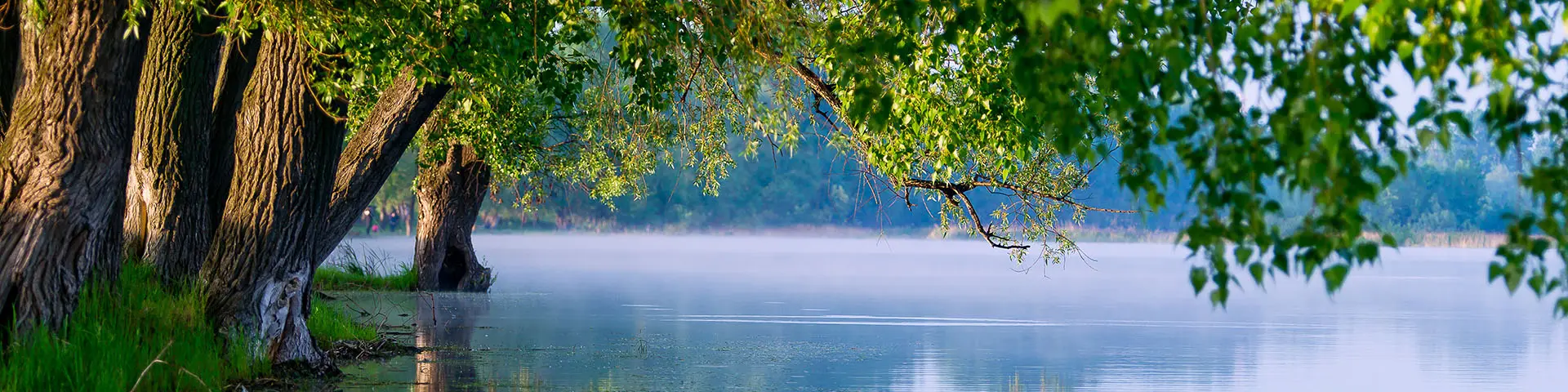 Naturen